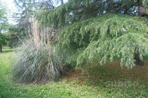 Hotel tre stelle a 20 minuti da firenze