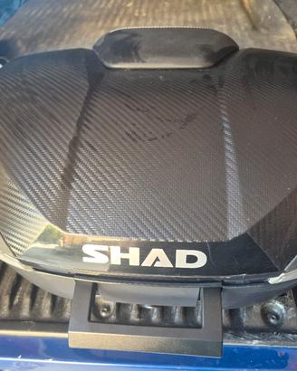 Bauletto  Shad SH 58X Carbon Look (Nuovo) 