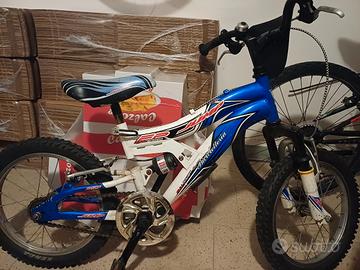 bicicletta