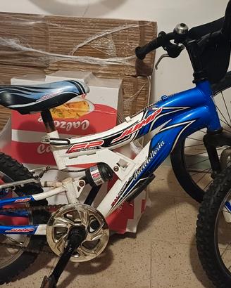 bicicletta