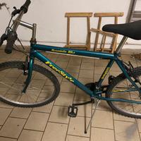 Bicicletta