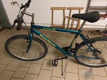 Bicicletta