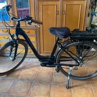 Bici elettrica "Adriatica"