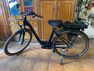 Bici elettrica "Adriatica"