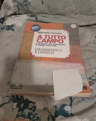 Libro 9788824778428