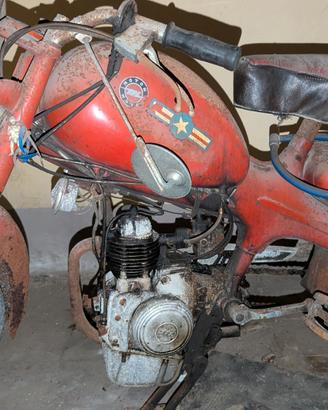 Motom 48 vintage