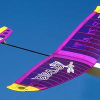 Kit Aliante Glider DLG Zanzara balsa airmodel