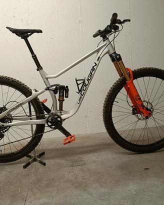 lee cougan quest team alloy