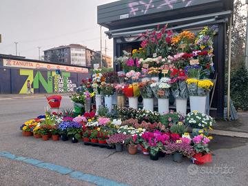 Vendita attività chiosco fiori cimitero greco