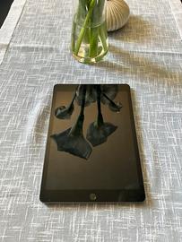 ipad 128gb