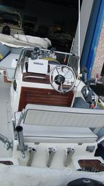 Marlin 16 + Evinrude 60 + Carrello Ellebi