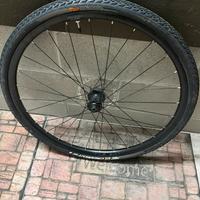 Ruota anteriore giant sx2 700