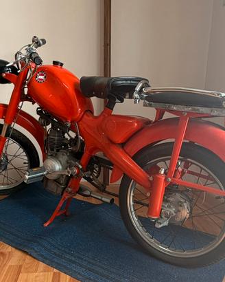 Motom nuovo