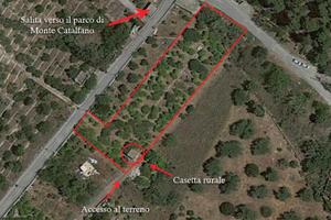 Terreno con casa rurale, in contrada Parisi Ter/37