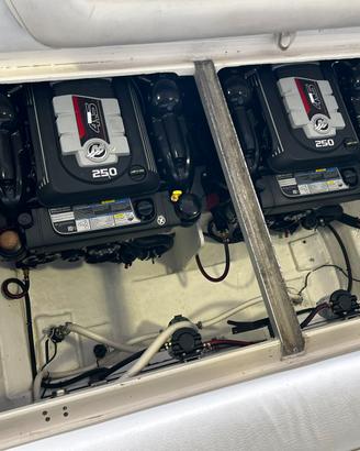 Sea Ray motori nuovi garanzia fino al 2028