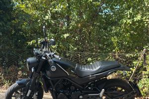 Benelli Leoncino 500 - 11/2025, 2.700km