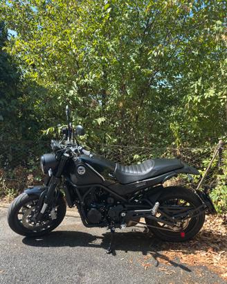 Benelli Leoncino 500 - 11/2025, 2.700km