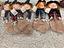 Immagine 4