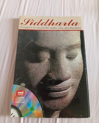 dvd Siddharta