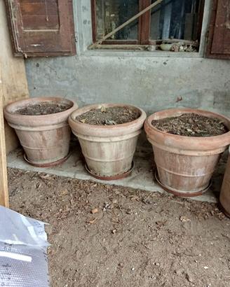 Vasi di terracotta