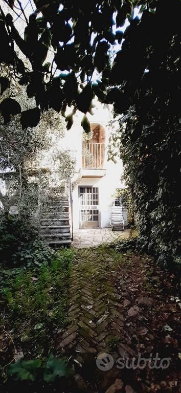 House in Codevilla, Mondondone - Altro