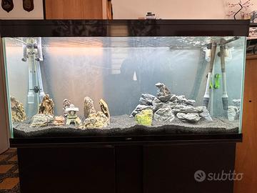 Acquario 250 lt