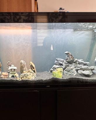 Acquario 250 lt