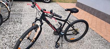 bicicletta