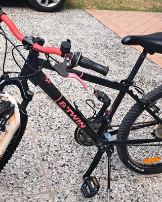 bicicletta