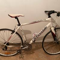 Bicicletta sportiva