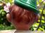 Immagine 4