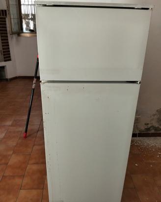 frigo 