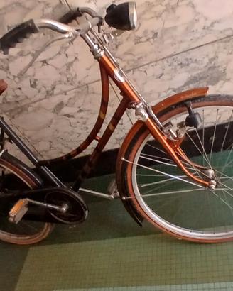 bicicletta con freni a bacchetta 