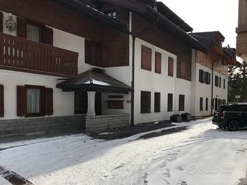 Trilocale a Madonna di Campiglio vacanze natalizie