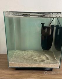 Acquario marino