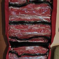 Borsa organizer da viaggio GHEPARD pieghevole