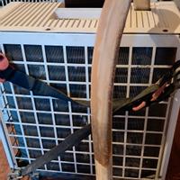 pinguino condizionatore