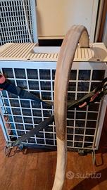 pinguino condizionatore