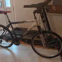 2 Mountain Bike   uomo/donna