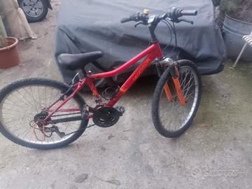 Mountain bike cerchi 24 e 20