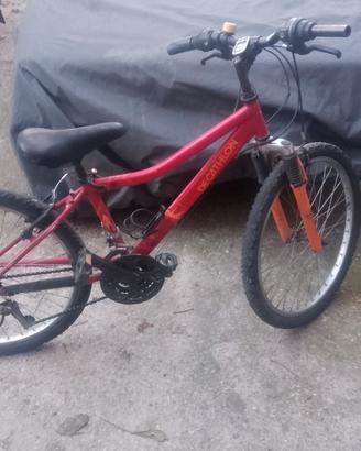 Mountain bike cerchi 24 e 20