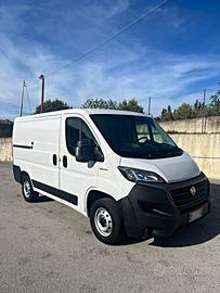 Fiat Ducato 2.3 MJT 120CV 2020