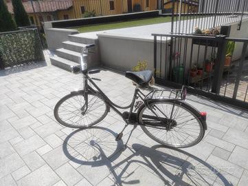 bicicletta olandesina 