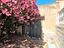 Immagine 11