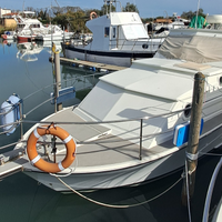 Coronet 24 famili castom