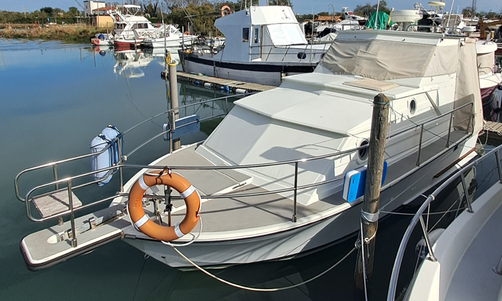 Coronet 24 famili castom