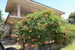 Villetta Bifamiliare con giardino