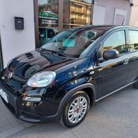 FIAT - Panda - 1.0 FireFly S&S Hybrid