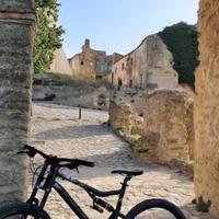 bicicletta da downhill