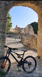 bicicletta da downhill